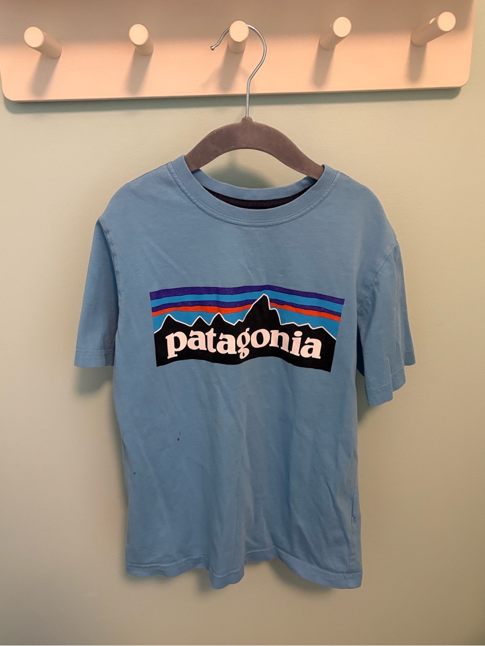 Patagonia Kids' Light Blue Logo Tee